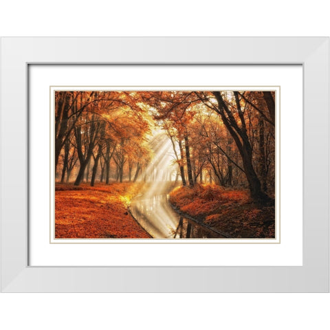Little Black Duck White Modern Wood Framed Art Print with Double Matting by Van de Goor, Lars