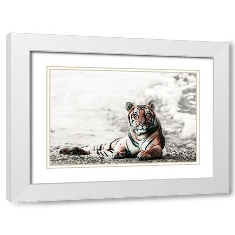 Jungle Bengal White Modern Wood Framed Art Print with Double Matting by Rajput, Jagdeep