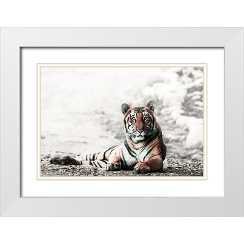 Jungle Bengal White Modern Wood Framed Art Print with Double Matting by Rajput, Jagdeep