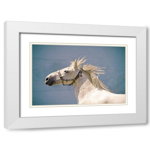 Scratch White Modern Wood Framed Art Print with Double Matting by Van de Goor, Lars
