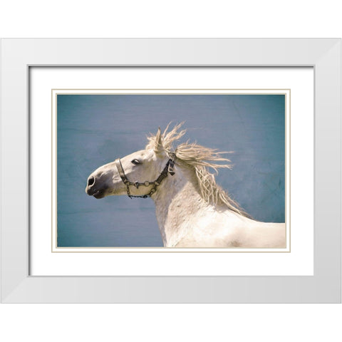 Scratch White Modern Wood Framed Art Print with Double Matting by Van de Goor, Lars