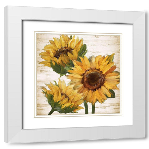 Sunflower Summer I White Modern Wood Framed Art Print with Double Matting by Knutsen, Conrad