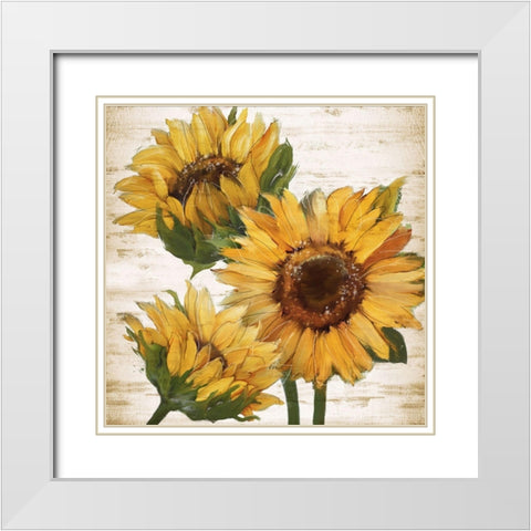 Sunflower Summer I White Modern Wood Framed Art Print with Double Matting by Knutsen, Conrad