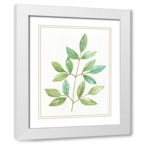 Spring Greens III White Modern Wood Framed Art Print with Double Matting by Nan