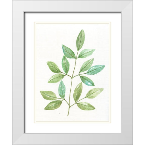 Spring Greens III White Modern Wood Framed Art Print with Double Matting by Nan