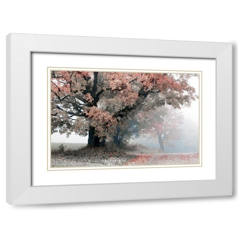 Magical Middle Earth White Modern Wood Framed Art Print with Double Matting by Sutton, William