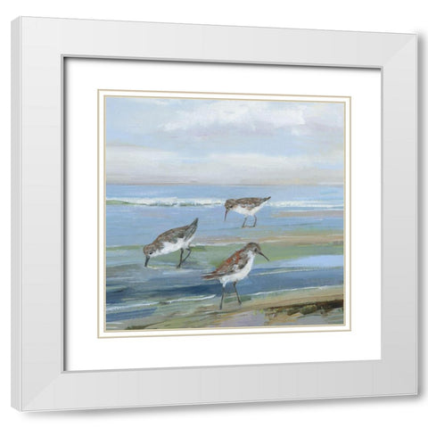 Seabird Beach I White Modern Wood Framed Art Print with Double Matting by Swatland, Sally