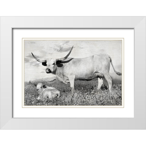 Buttercup and Bluebonnet White Modern Wood Framed Art Print with Double Matting by Ditto, Larry