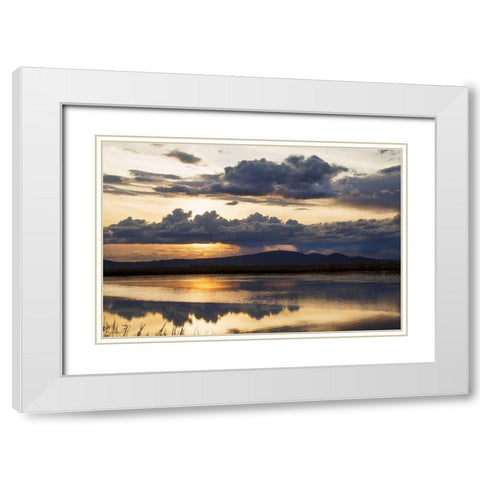 Twilight Symphony White Modern Wood Framed Art Print with Double Matting by Delimont, Danita
