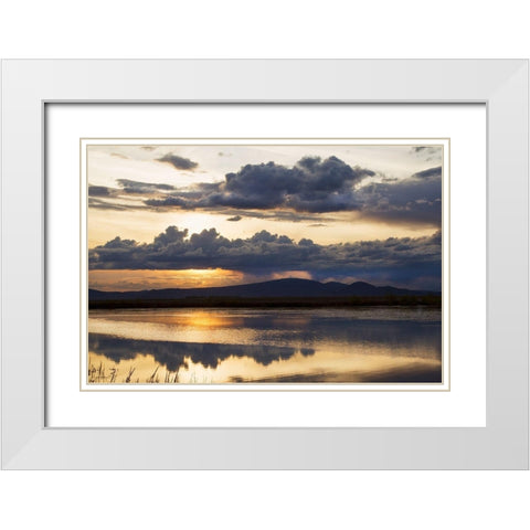 Twilight Symphony White Modern Wood Framed Art Print with Double Matting by Delimont, Danita