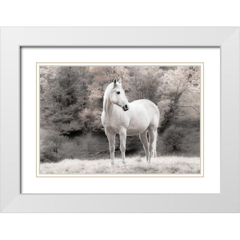 White Mare White Modern Wood Framed Art Print with Double Matting by Jannsen, Brian