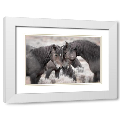 Wild Horses White Modern Wood Framed Art Print with Double Matting by Ditto, Larry