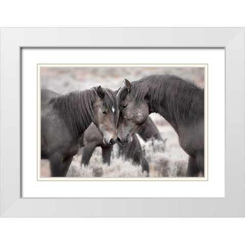 Wild Horses White Modern Wood Framed Art Print with Double Matting by Ditto, Larry