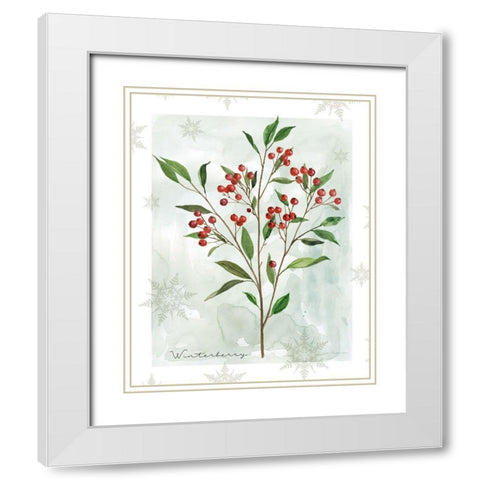 Botanical Winterberry White Modern Wood Framed Art Print with Double Matting by Robinson, Carol
