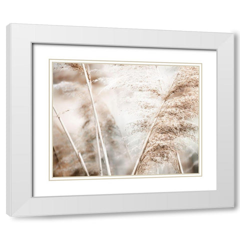Soft Pampas Breeze White Modern Wood Framed Art Print with Double Matting by Weisz, Irene