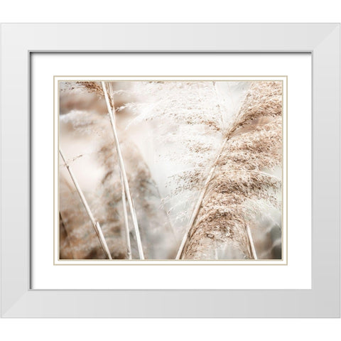 Soft Pampas Breeze White Modern Wood Framed Art Print with Double Matting by Weisz, Irene