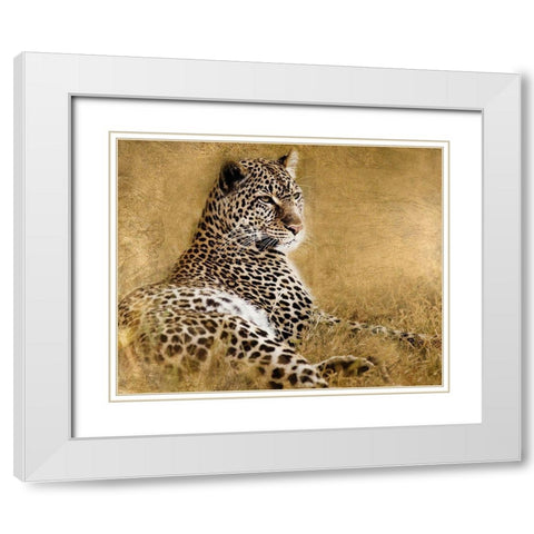 Tall Grass Gold White Modern Wood Framed Art Print with Double Matting by Soulders, Paul