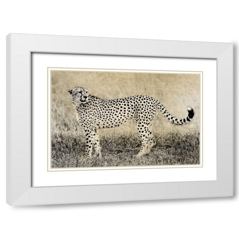 Camouflage White Modern Wood Framed Art Print with Double Matting by Jaynes, William D.