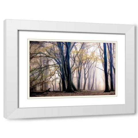 Fall Softly White Modern Wood Framed Art Print with Double Matting by Van de Goor, Lars