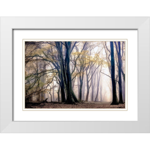 Fall Softly White Modern Wood Framed Art Print with Double Matting by Van de Goor, Lars