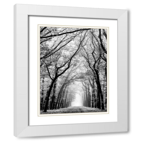 Cathedral Forest White Modern Wood Framed Art Print with Double Matting by Van de Goor, Lars