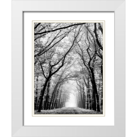Cathedral Forest White Modern Wood Framed Art Print with Double Matting by Van de Goor, Lars