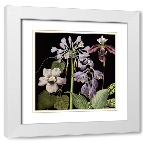Dusty Plum Botanical I White Modern Wood Framed Art Print with Double Matting by Jill, Susan