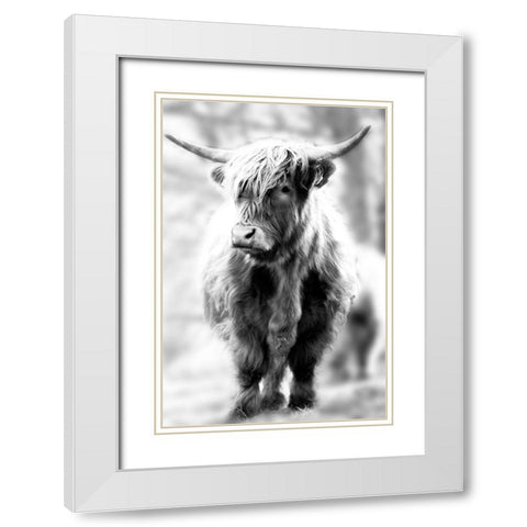 Yorkshire White Modern Wood Framed Art Print with Double Matting by Sturdevant, Jay