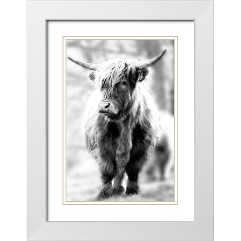 Yorkshire White Modern Wood Framed Art Print with Double Matting by Sturdevant, Jay