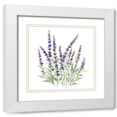Lavender Botanical I White Modern Wood Framed Art Print with Double Matting by Robinson, Carol