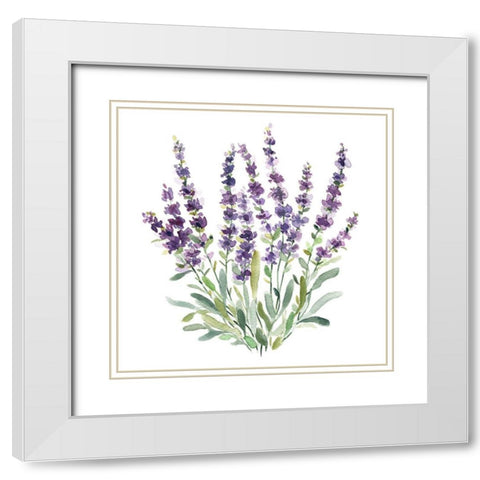 Lavender Botanical II White Modern Wood Framed Art Print with Double Matting by Robinson, Carol