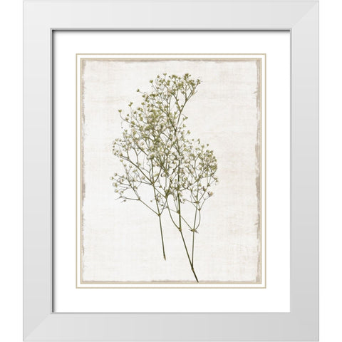 Farmhouse Pressed Flower I White Modern Wood Framed Art Print with Double Matting by Carpentieri, Natalie