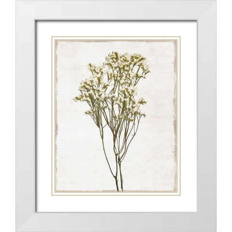 Farmhouse Pressed Flower II White Modern Wood Framed Art Print with Double Matting by Carpentieri, Natalie