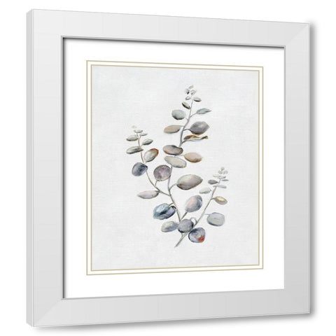 Eucalyptus II White Modern Wood Framed Art Print with Double Matting by Brooks, Donna