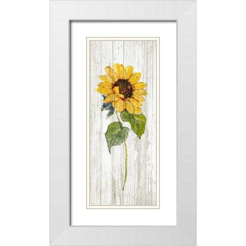 Sunflower in Autumn I White Modern Wood Framed Art Print with Double Matting by Swatland, Sally