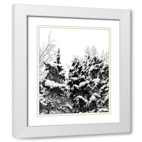 Wintery Dreams I White Modern Wood Framed Art Print with Double Matting by Carpentieri, Natalie