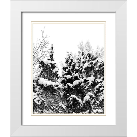 Wintery Dreams I White Modern Wood Framed Art Print with Double Matting by Carpentieri, Natalie