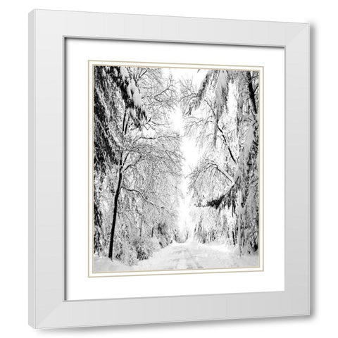 Wintery Dreams Path White Modern Wood Framed Art Print with Double Matting by Carpentieri, Natalie