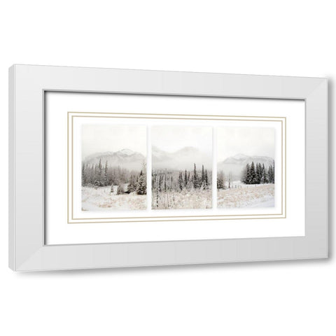 Snowbound White Modern Wood Framed Art Print with Double Matting by Delimont, Danita