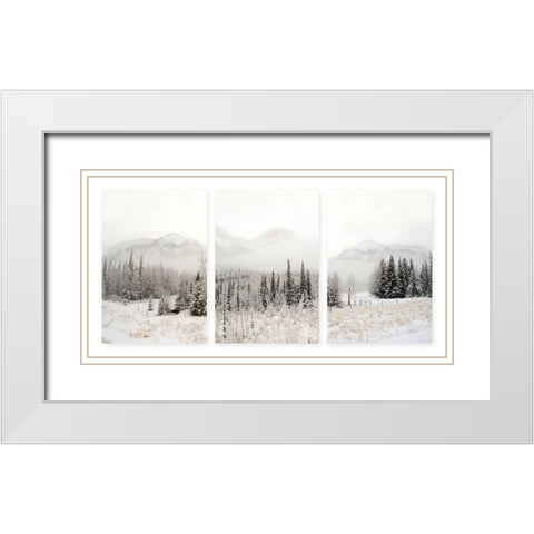 Snowbound White Modern Wood Framed Art Print with Double Matting by Delimont, Danita