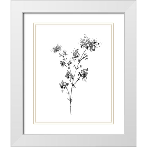 Neutral Washed Botanical I White Modern Wood Framed Art Print with Double Matting by Knutsen, Conrad