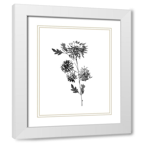 Neutral Washed Botanical II White Modern Wood Framed Art Print with Double Matting by Knutsen, Conrad