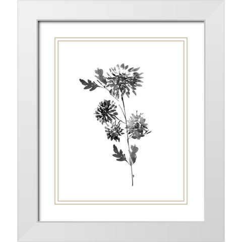 Neutral Washed Botanical II White Modern Wood Framed Art Print with Double Matting by Knutsen, Conrad