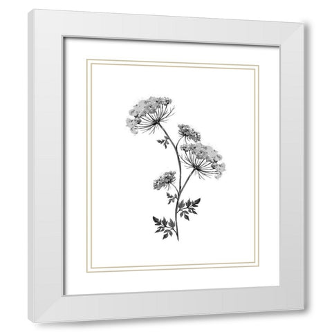 Neutral Washed Botanical III White Modern Wood Framed Art Print with Double Matting by Knutsen, Conrad