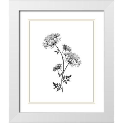Neutral Washed Botanical III White Modern Wood Framed Art Print with Double Matting by Knutsen, Conrad