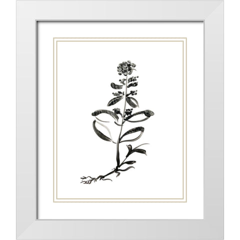 Inky Botanical III White Modern Wood Framed Art Print with Double Matting by Donovan, Kelly