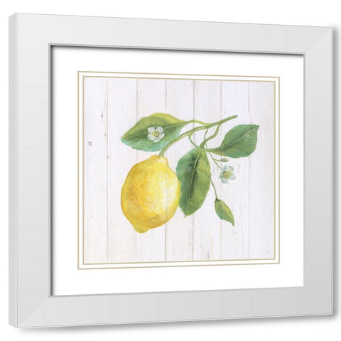 Lemon Fresh II White Modern Wood Framed Art Print with Double Matting by Nan