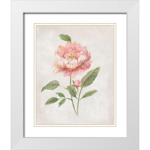 Grandiflora III White Modern Wood Framed Art Print with Double Matting by Nan