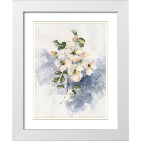 Dogwood Blossoms II White Modern Wood Framed Art Print with Double Matting by Swatland, Sally