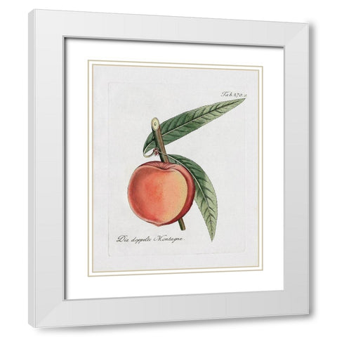 Peachy Keen II White Modern Wood Framed Art Print with Double Matting by Donovan, Kelly